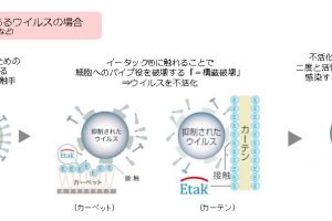 カーテン スミノエ クレンゼ ウイルス