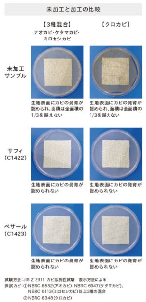 機能レース アスワン