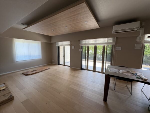 プレーンシェード　遮熱遮像レース