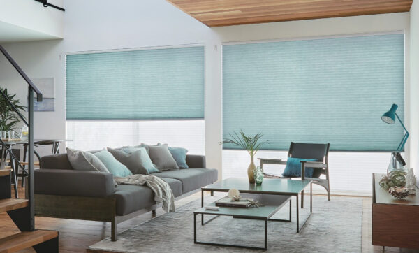 窓周り プリーツスクリーンペア