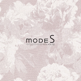 modeS