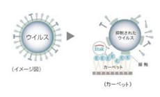 記事イメージ